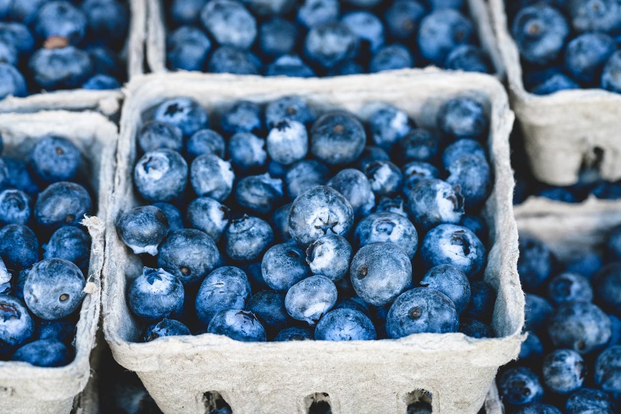 Fresh blueberries rich in anthocyanins