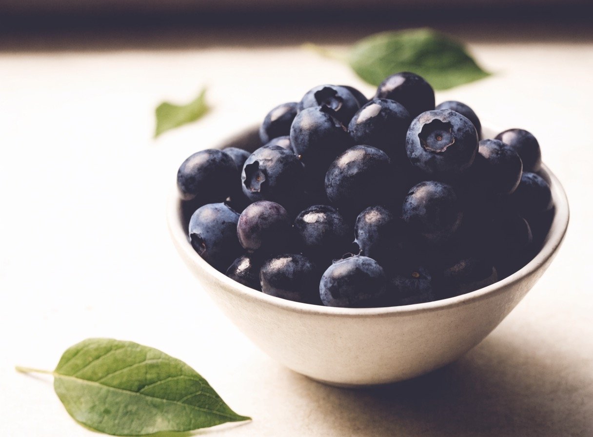 Fresh bilberries - the fruit behind the bilberry powder